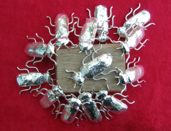 All the beetles