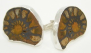 Ammonite cufflinks