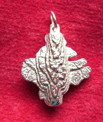 Cuttlefish Casting Jewelry
