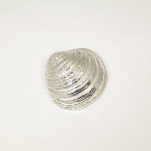 Sterling silver sea shell