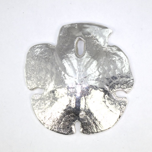 Silver sand dollar - upper surface