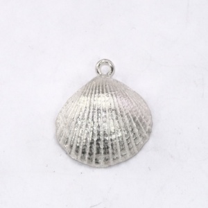 Small silver shell