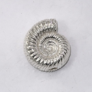 Solid silver ammonite paperweight