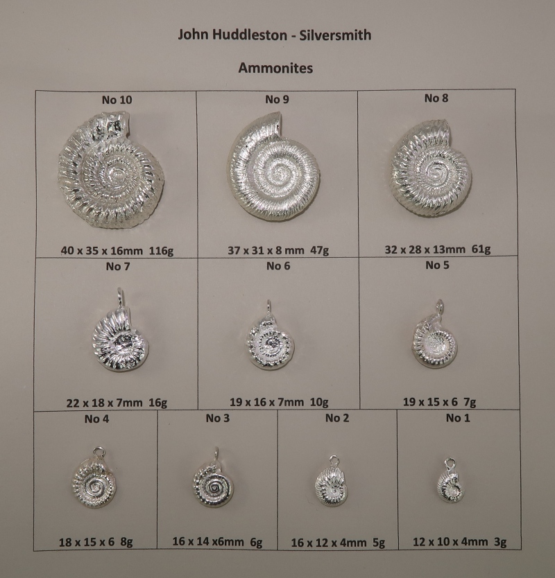 My fossil amminoites as cast in sterling silver