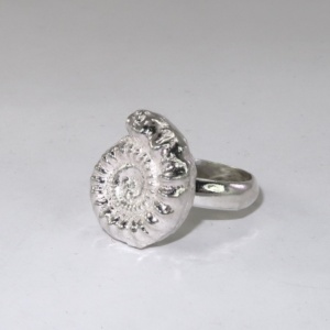 SIlver ring woth a solid half thickness ammonite