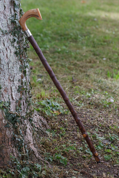 Walking stick with silver collar