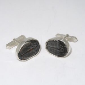 Trilobite fossils mounted as cufflinks