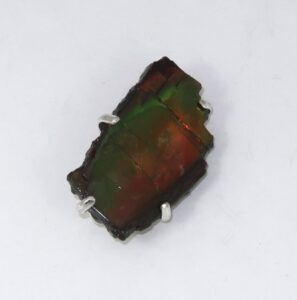 Ammolite brooch