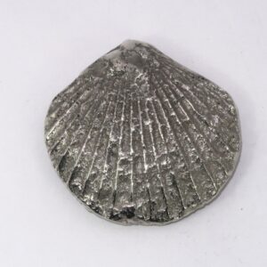 Solid silver Pseudopecten acuticosta