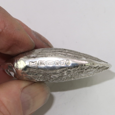 Solid silver Pseudopecten acuticosta