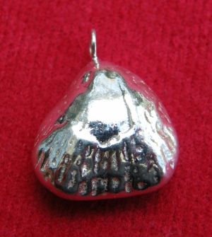 Stonesfield fossil pendant (larger one side)