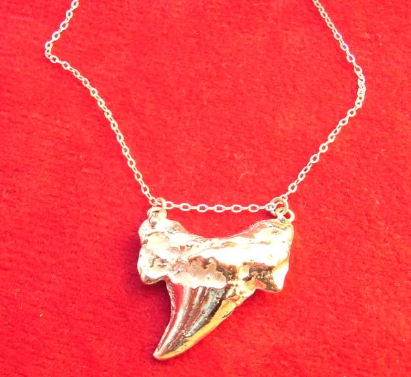 Shark's teeth pendant
