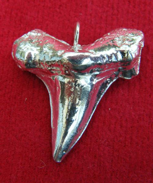 Shark's tooth pendant