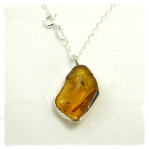 Insect in amber pendant